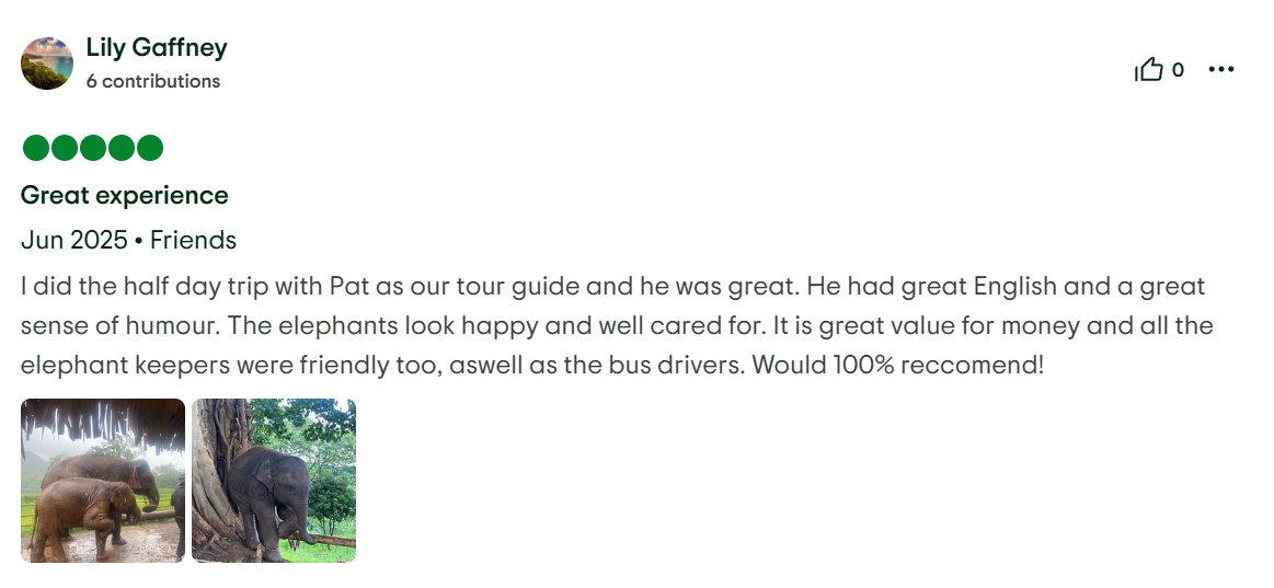 pon elephpant chiangmai thailand reviews